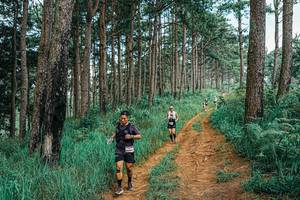 BIB: 
                            <button type="button" onclick="openModal(25741367)" class="btn btn-primary btn-sm float-right btn-popup" data-toggle="modal" data-target=".modal-high-quality">
                        <i class="fas fa-shopping-cart"></i> Add to Cart
                    </button>
                                            <button type="button" onclick="isThisMe(25741367, true)" class="btn btn-success btn-sm float-right btn-popup btn-isme hidden" data-toggle="tooltip" data-placement="bottom" title="นี่คือรูปของคุณใช่ไหม คลิกที่นี่เพื่อเอาเข้าอัลบั้ม">
                        <i class="fas fa-plus"></i> Add to album
                    </button>
                    <button type="button" onclick="isThisMe(25741367, false)" class="btn btn-warning btn-sm float-right btn-popup btn-isnotme hidden">
                        <i class="fas fa-ban"></i> Remove from album
                    </button>